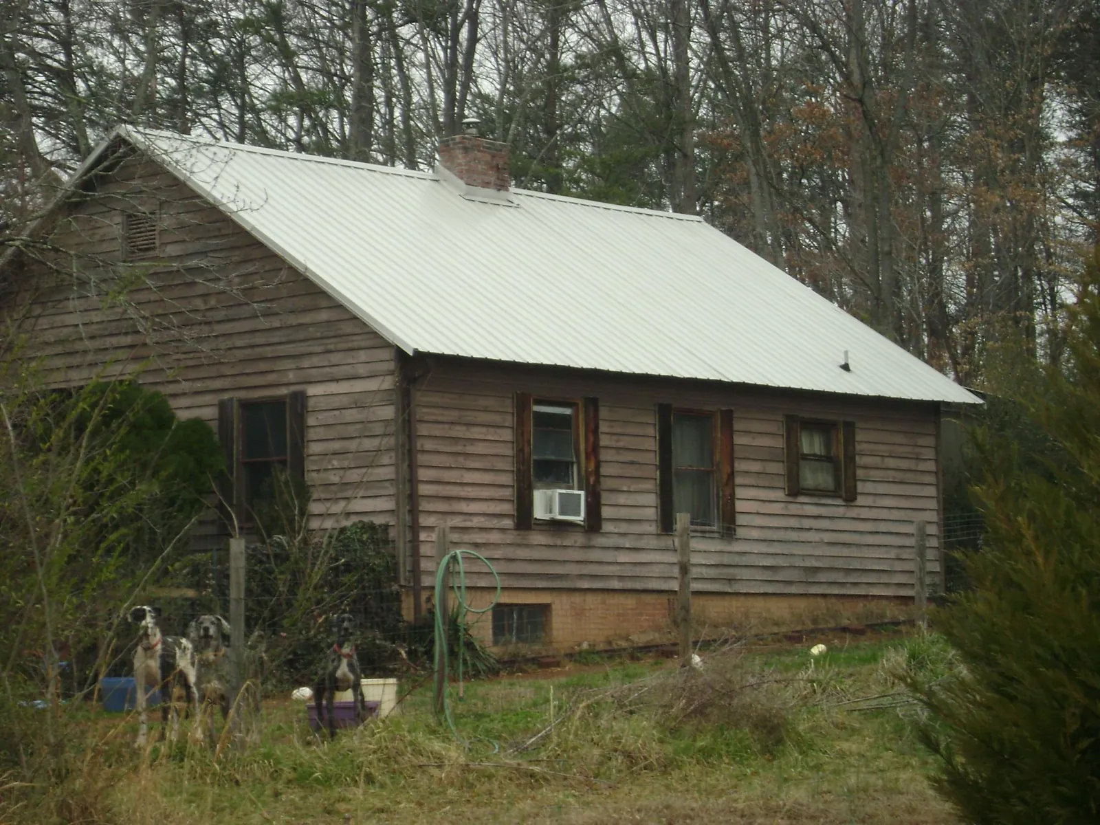 White metal roof on an old wood sided farmhouse, from a Asphalt Shingle Roof Repair job in West Concord